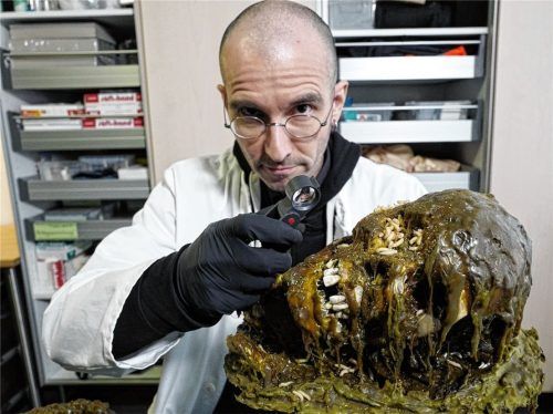 Seit mehr als zwei Jahrzehnten geht Kriminalbiologe Mark Benecke biologischen Spuren von Gewaltverbrechen der ganzen Welt auf den Grund. Im Oktober gewährt er den Rosenheimern im KU‘KO einen exklusiven Blick in die Forensik. Foto Benecke.Com