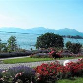 Ein Plus von 3,55 Prozent