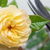 Großes Programm bei den Gartlern