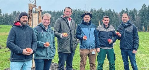 Zum Reinbeißen: (von links) Kreisfachberater Roman Pröll, Streuobstberater Martin Landes, Pomologe Georg Loferer, Kreisfachberater Daniel Richter, Bauhofmitarbeiter Sebastian Niedermaier und Riederings Bürgermeister Christoph Vodermaier zeigen mit den Äpfeln, worum es geht. Foto Kirchner