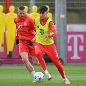 Pavlovic wieder da