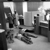 Die Rückkehr des Besenstiel-Räubers