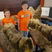 Ur-Elefanten-Fund: „Ein Glücksfall für die Wissenschaft“