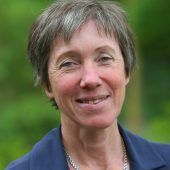 Wetter-Stress für Pflanzen