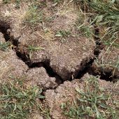 Devise für die Zukunft: Wassersparen