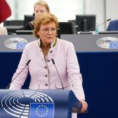 Hohlmeier schwer erkrankt