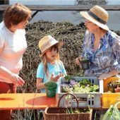 „Querbeet“ durch den heimischen Garten