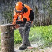 Junge Landwirtschaftsschüler messen sich beim forstlichen Wettbewerb