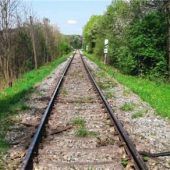 Aststücke auf Gleis stoppen Bahnverkehr