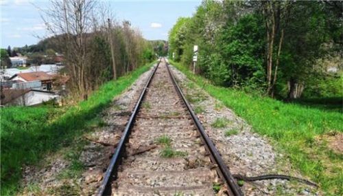Äste blockierten die Bahnstrecke Prien-Aschau, die deshalb von einem Hubschrauber zur Absuche abgeflogen wurde.Foto
