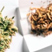 Sofortige Haftentlassungen denkbar