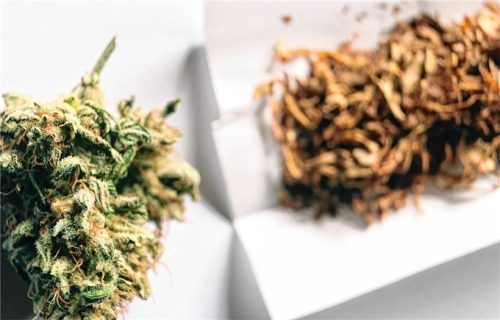 Aufgrund der Cannabis-Legalisierung zum 1. April stehen auch Haftentlassungen im Raum, da die Taten nicht mehr strafbar sind.Foto : Hildenbrand/Christoph Reichwein