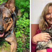 Hund Toffee (7) fünfmal online verkauft