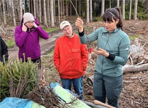 Die Forstanwärterin Elena Männer (rechts) zeigt den Teilnehmerinnen im Wald, woran eine gute Pflanzenqualität zu erkennen ist. Foto re
