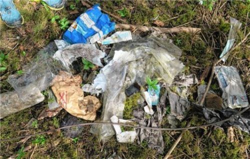 Diesen Unrat hatten die Kinder im Auwald gesammelt.