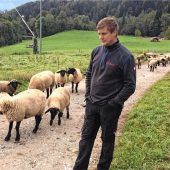 „Stimmung hat sich normalisiert“