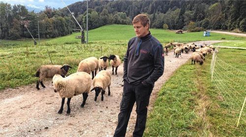 „Ein bisserl angespannt“: André Sigl erwartet den Alm-Auftrieb auch wegen Wolf und Bär mit Spannung. Foto re