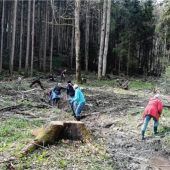Helfer befreien Quellbach von Fichtenzweigen
