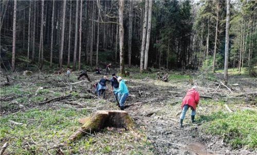 Engagierte packten gemeinsam mit an und legen den Quellbach wieder frei..Foto re