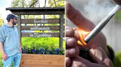 Doch kein Anbau: Beim Cannabis Club in Raubling darf nun doch erst einmal nicht gepflanzt und geerntet werden. Ein Schreiben des Landratsamts sorgte beim Vorsitzenden Florian Degenhart für Empörung. Fotos Huber/dpa