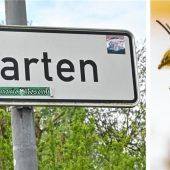 „Amerikanische Faulbrut“ bedroht Bienen