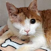 Aufgeben kommt nicht infrage