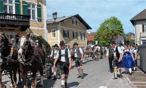Mit Musik und Pferdegespann kam der Baum in den Ort.