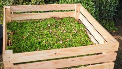 Nachhaltig gärtnern: Der Rasenschnitt eignet sich sehr gut zum Kompostieren und wird damit wiederum zum Nährstofflieferanten für andere Pflanzen im Garten.