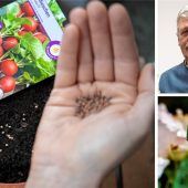 Klimawandel setzt Hobbygärtnern zu