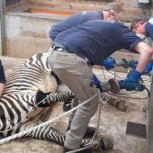 Fußpflege mit der Flex