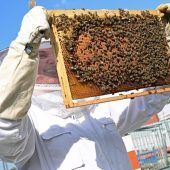 Bayern, das Land der Honigbienen