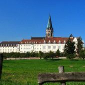 Das Leid hinter den Klostermauern
