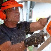 Der Holzschnitzer mit der Kettensäge