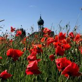 Unser Landkreis blüht auf