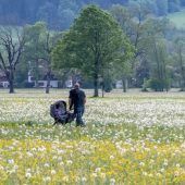 Wo das gesunde Grün jetzt besonders schön blüht