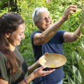 Drei Rezepte für daheim
