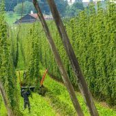 Was der Regen-Mai für Bayern bedeutet