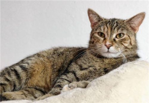 Aruna hat am liebsten alles im Blick. Foto Re