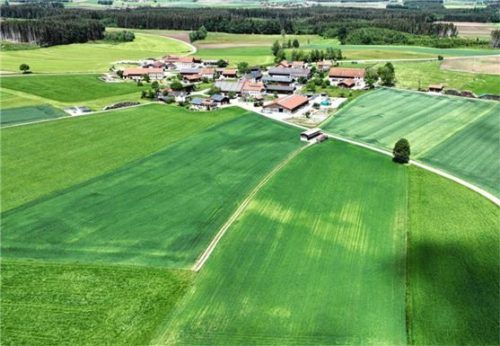 Auf dieser Fläche soll die geplante Photovoltaikanlage entstehen. Foto emk