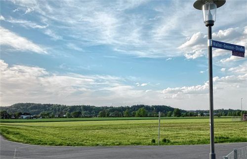 Auf dieser Wiese an der Walter-Gessner-Straße plant das Landratsamt ein Asylbewerberheim. Foto Weinzierl