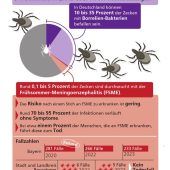 Rosenheim ist ein Zecken-Risikogebiet