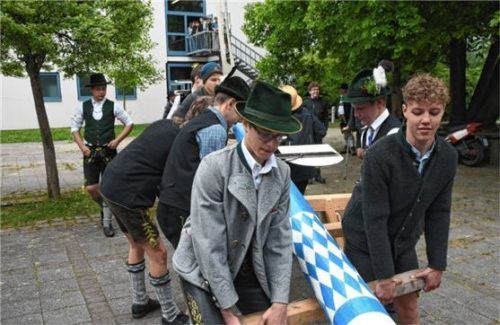 Beim Aufstellen des Maibaums war Muskelkraft gefragt. Foto Ruprecht