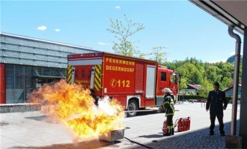Brennendes Fett in der Pfanne kann man leicht löschen – aber nicht mit Wasser, wie die Feuerwehr eindrucksvoll zeigte.