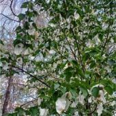 Führung mit Experte Jürgen Halder