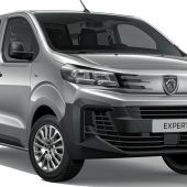 Vollelektrischer Kastenwagen