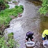 Breite Allianz für Nasen und Muscheln