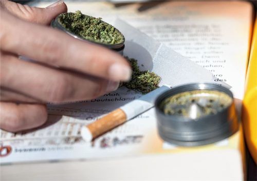 Die neue Rechtslage in Bezug auf Cannabis kürzt – wie jetzt geschehen in Rosenheim – manchen Gerichtsprozess ab. Unrechtmäßige Gewinne wurden einen Dealer nun aber doch noch zum Verhängnis. Foto dpa (Symbolbild)