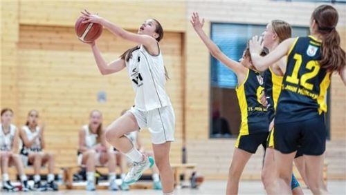 Die U14 des SB-DJK Rosenheim, hier im Spiel gegen Jahn München, sind süddeutsche Meisterinnen.Foto SB-DJK Rosenheim