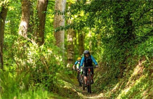 Durch die Natur: Idyllischer Mountainbike-Trail in Binic. Foto Emmanuel Berthier