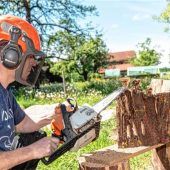 Kunstschaffen mit der Motorsäge